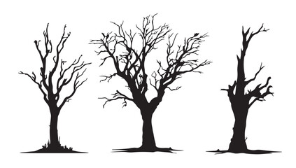 Fototapeta premium Shadow Trees in Nature: Silhouettes of bare trees stand in stark contrast, embodying the quiet beauty of nature's stark, simple lines, evoking a sense of solemnity and introspection.