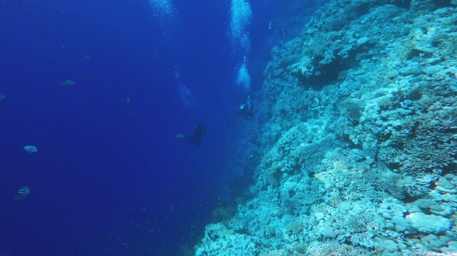 Two scuba divers swimming along steep reef wall during deep underwater dive