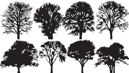 Fototapeta premium Silhouettes of arboreal wonders: A striking illustration showcases an array of arboreal forms, each meticulously designed to highlight the beauty of nature's architects.