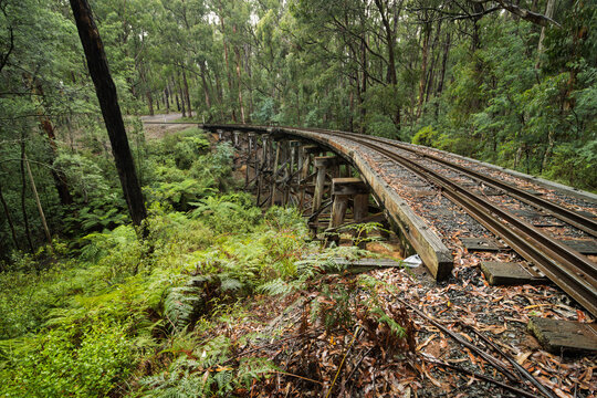 Trestle Bridge, Puffing Billy Railway, Victoria, Australia
