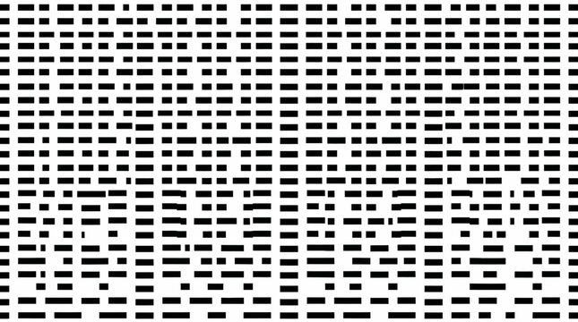 Black and white geometric grid pattern with rectangular blocks and minimal design.