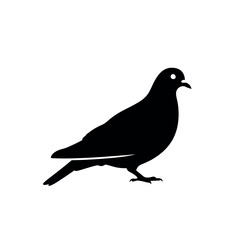 Fototapeta premium Black silhouette of a pigeon on a white background.
