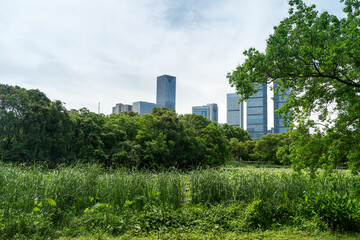 Obraz premium spring park and modern city