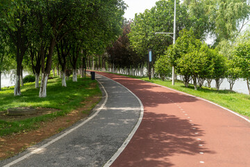 Fototapeta premium New pathway and beautiful trees track for running or walking and cycling relax in the park
