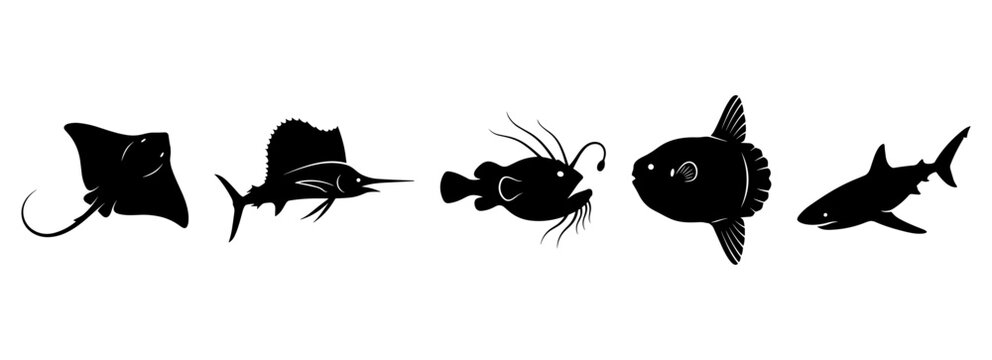 Black Sea Creatures Silhouette Set with Stingray, Sailfish, Anglerfish, Sunfish and Shark, Underwater Ocean Life and Marine Fish Species Vector Icons Isolated