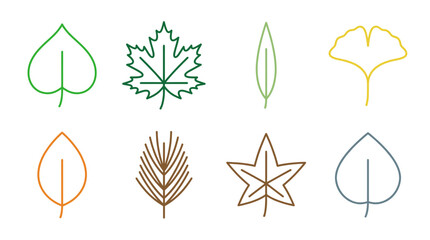 Fototapeta premium Collection of Various Leaf Line Art Icons Including Maple Ginkgo Oak and Pine, Nature Foliage Design Elements for Autumn and Spring Season Projects