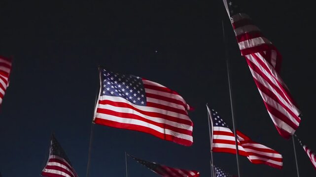 American flags installation at night in Malibu, California, USA with silhouette in foreground and glowing lights creating emotional patriotic memorial scene