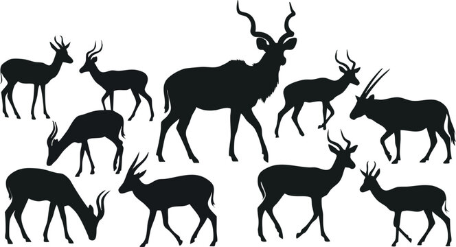 Set of Ten Black Antelope and Gazelle Silhouettes on White.