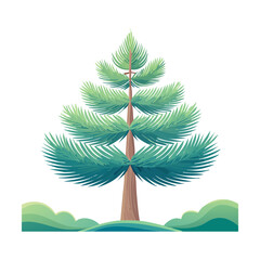 Tall spruce tree for northern forest landscape design winter season promotions mountain adventure branding and botanical art for forest ecology studies © color