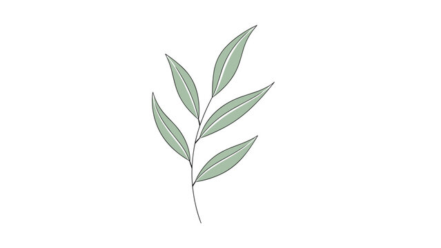 Single green botanical branch with simple leaf shapes in minimalist hand drawn style isolated on white background.