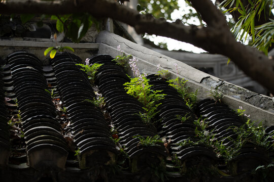 Traditional Chinese roof tiles are specifically clay tiles arranged in overlapping rows to create a durable