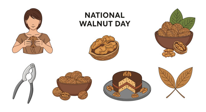 Illustrated elements for National Walnut Day including walnuts a woman a nutcracker cake and leaves