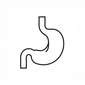 Minimalist black and white human stomach outline illustration for medical and digestive health