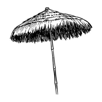 straw beach umbrella vector line art hand drawn illustration