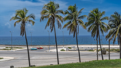 Malecon embankment by the ocean. Retro cars are parked on the asphalt road. Silhouettes of people nearby. Street lights. Palm trees against the blue sky in the foreground. A green lawn. Cuba. Havana.