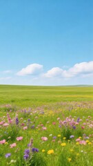 Fototapeta premium The vast and boundless grassland