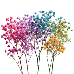 Fototapeta premium Colorful blooming wildflowers branches spring nature background soft bokeh