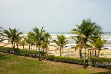 Fototapeta premium Sunlight glows over a tranquil beach scene. Tall palm trees line the sandy shore. Ocean waves gently roll onto the coast. Grassy path leads toward the water's edge