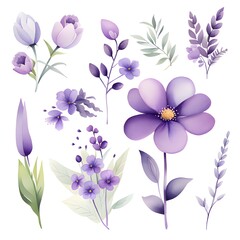 Obraz premium bouquet with beautiful flowers on white background