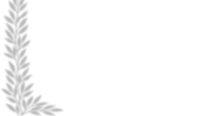 Fototapeta premium Realistic Laurel Wreath Corner and Olive Branch Foliage Shadow Overlay Effect on White Wall, Aesthetic Summer Sunlight Botanical Shadow, Abstract Natural Plant Frame Shadow Overlay