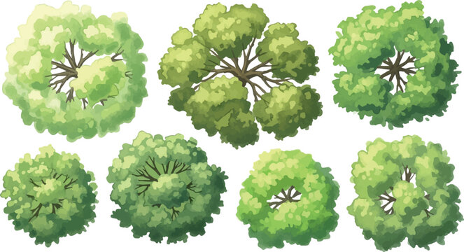 Top view tree set for architectural site plans, aerial view landscape design elements, collection of 7 green garden trees for masterplan rendering