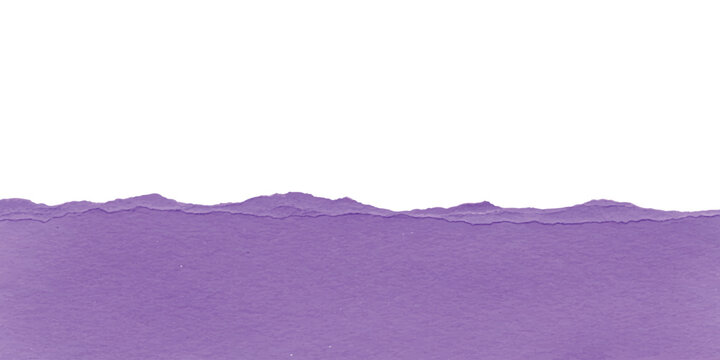 A horizontal strip of bright purple construction paper with a rough torn edge positioned against a plain white background