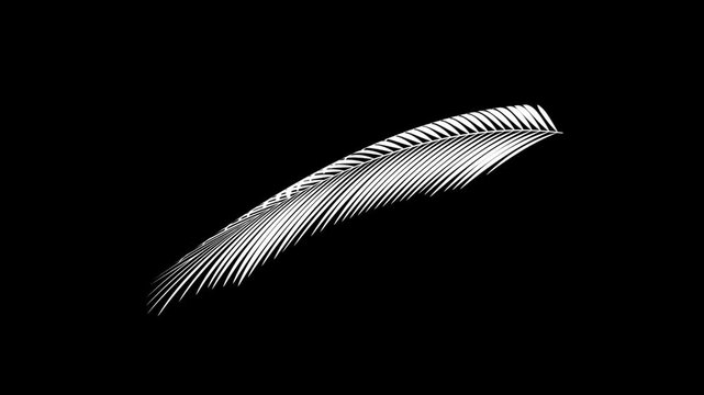 alm Leaf Swaying in Wind on Black Background 4K