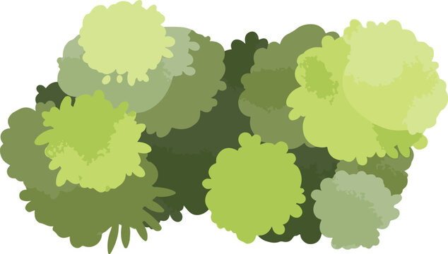Green bush vector illustration, lush garden shrubbery and foliage, top view landscape design element, organic plant cluster for site plans