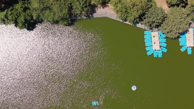 Wide aerial of Chapultepec forest and modern buildings in Mexico City