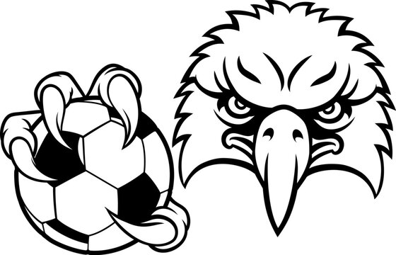 An eagle or hawk or falcon soccer football bald eagles mascot