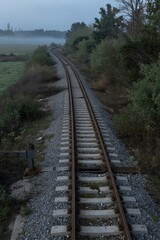 Obraz premium A weathered railway track stretches across a serene rural landscape at dawn, its rusty metal and gravel surface overgrown with lush vegetation under a soft, golden light.
