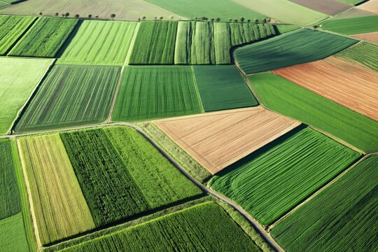 Aerial view of vibrant, patchwork farmland with various crops growing in distinct, geometric plots separated by narrow paths.