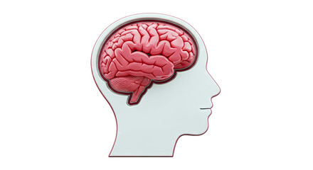 Obraz premium 3D Rendering of a Human Brain Inside a Profile Silhouette
