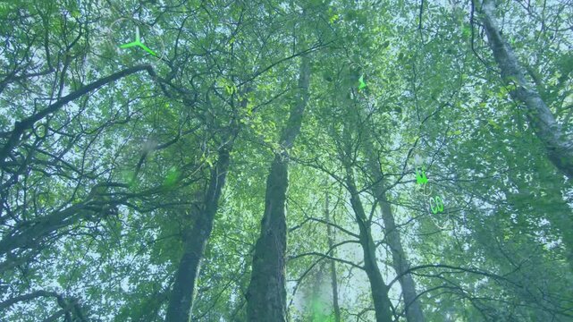 Low-angle canopy showing green HUD overlays emerging from lower-left rising rightward showing CO2