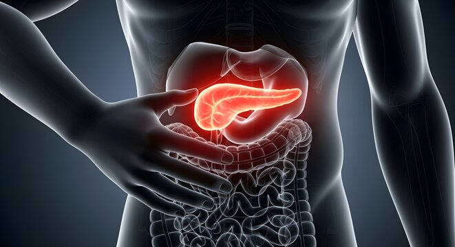 Pancreas Inflammation and Abdominal Pain Highlight Medical Awareness Concept