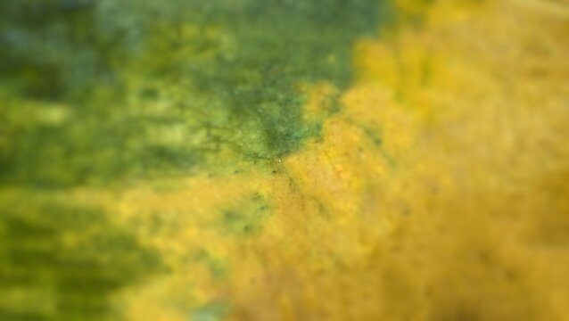 blurred Abstract grunge texture background with organic green and yellow tones, featuring rough surface details, vintage distressed effect, and artistic color blend.