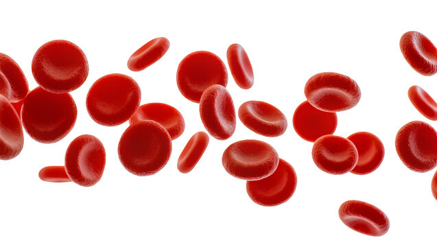 Vibrant red blood cells floating, displaying diverse shapes and sizes