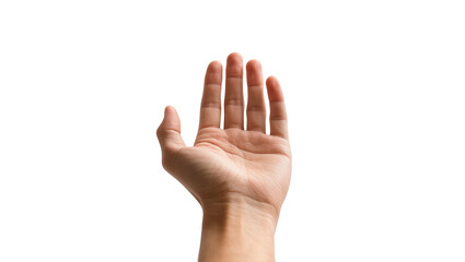 Obraz premium Pale human hand palm up fingers spread offering gesture, wrist visible