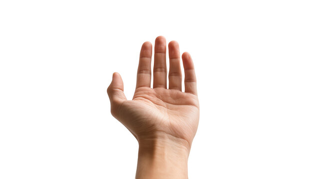 Pale human hand palm up fingers spread offering gesture, wrist visible