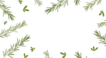 Fototapeta premium Green rosemary sprigs and small clover-like leaves are scattered around the edges of a white background, forming a natural frame.