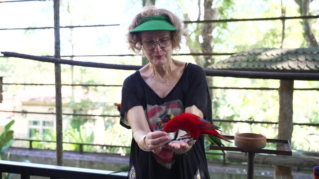 Caucasian Woman Feeding Rainbow Lorikeets At Bird Park Kuala Lumpur Malaysia Tropical Birds