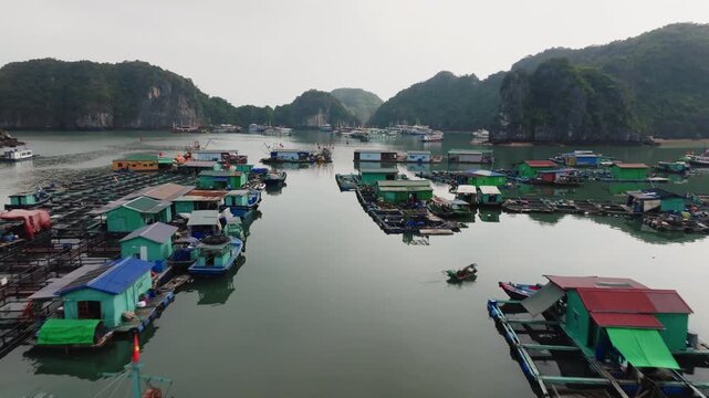 Cat Ba Vietnam aerial view over fish cages and karst islands, showing dense aquaculture patterns across green bay water.