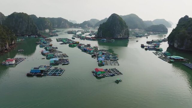 Cat Ba Vietnam drone flyover skimming above fish cages and floating homes, heading toward a narrowing karst corridor.