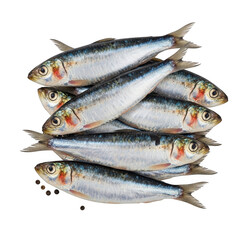 Fototapeta premium Sardines stacked on of each other isolated on transparent background