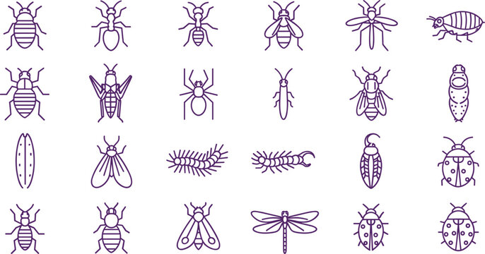 Collection of Hand Drawn Insect Icons Featuring Beetles Ants Flies Butterflies Dragonflies and Bugs in Minimal Line Style Design