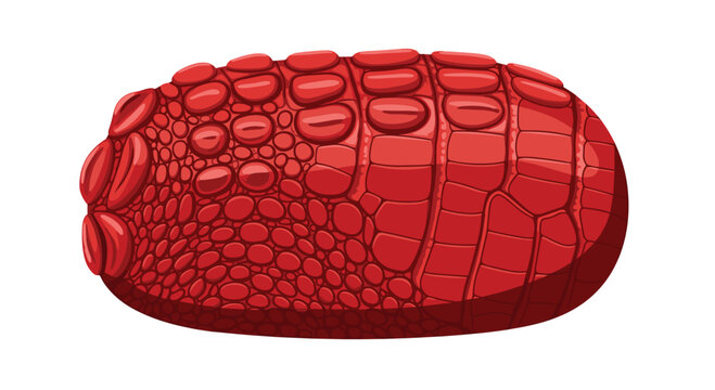 A textured illustration of red crocodile skin in an oval shape is presented on a white background.