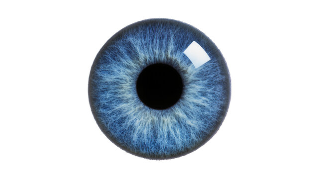 Detailed blue iris displaying radial texture, featuring a central black pupil