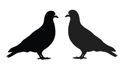 Fototapeta premium Two pigeons facing each other in a stark black silhouette illustration