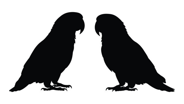 Two parrots facing each other depicted as stark black silhouettes against a white background