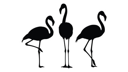 Fototapeta premium Silhouette illustration of three flamingos standing in a minimalist style